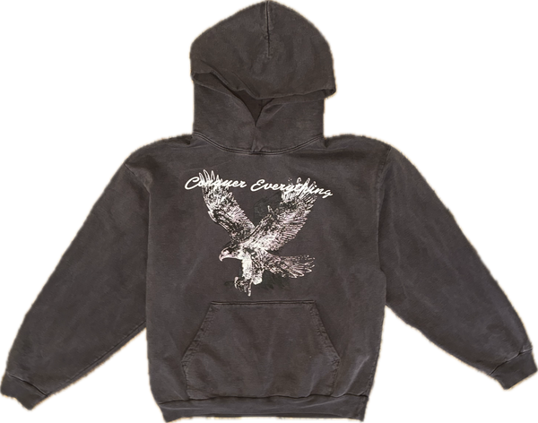 TF ‘testimony’ hoodie
