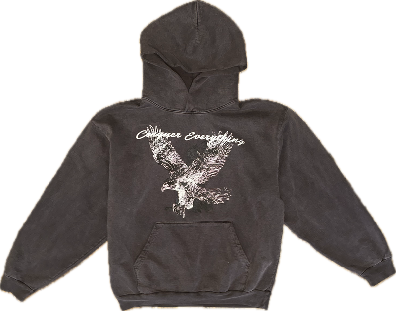TF ‘testimony’ hoodie